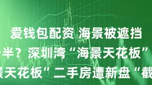 爱钱包配资 海景被遮挡，价格跌一半？深圳湾“海景天花板”二手房遭新盘“截胡”