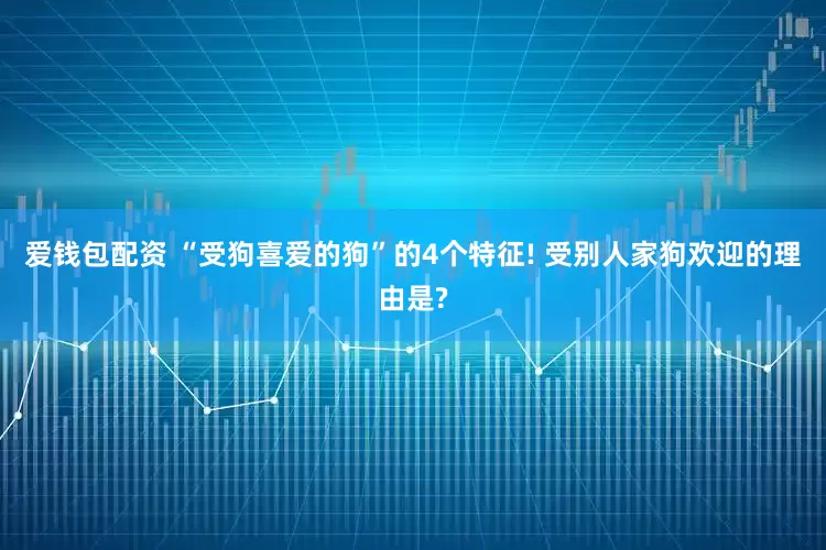 爱钱包配资 “受狗喜爱的狗”的4个特征! 受别人家狗欢迎的理由是?